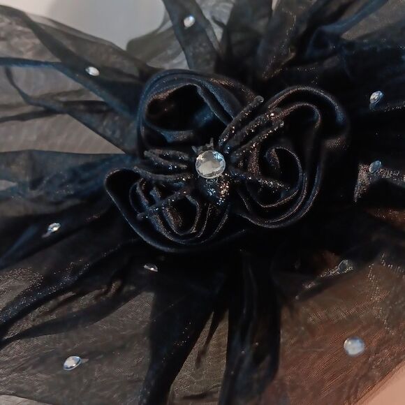 Black Widow Spider Fascinater - Picture 5 of 6